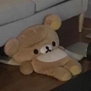 Meet your Posher, Jenny